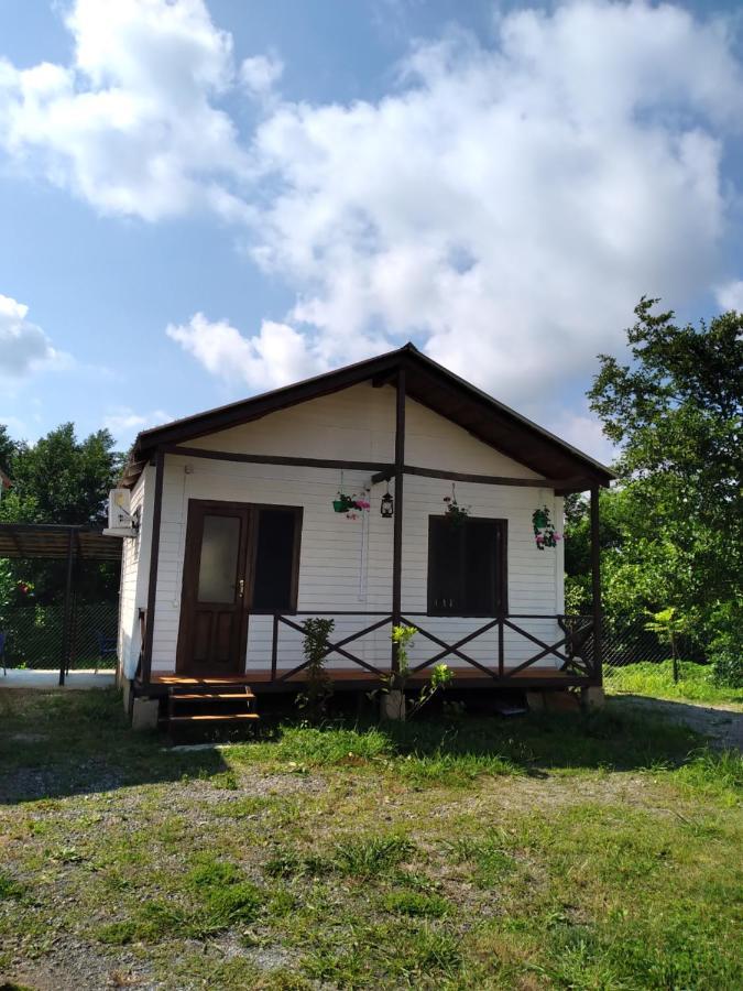 Апарт-Отель "У Речки" Kuchkisabano Bagian luar foto